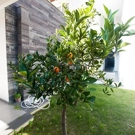 1 Bedroom Seafront Apart W/pool, Garden, Free Wifi Daire
